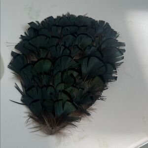 Elegant Green and Black Feather Accessory
